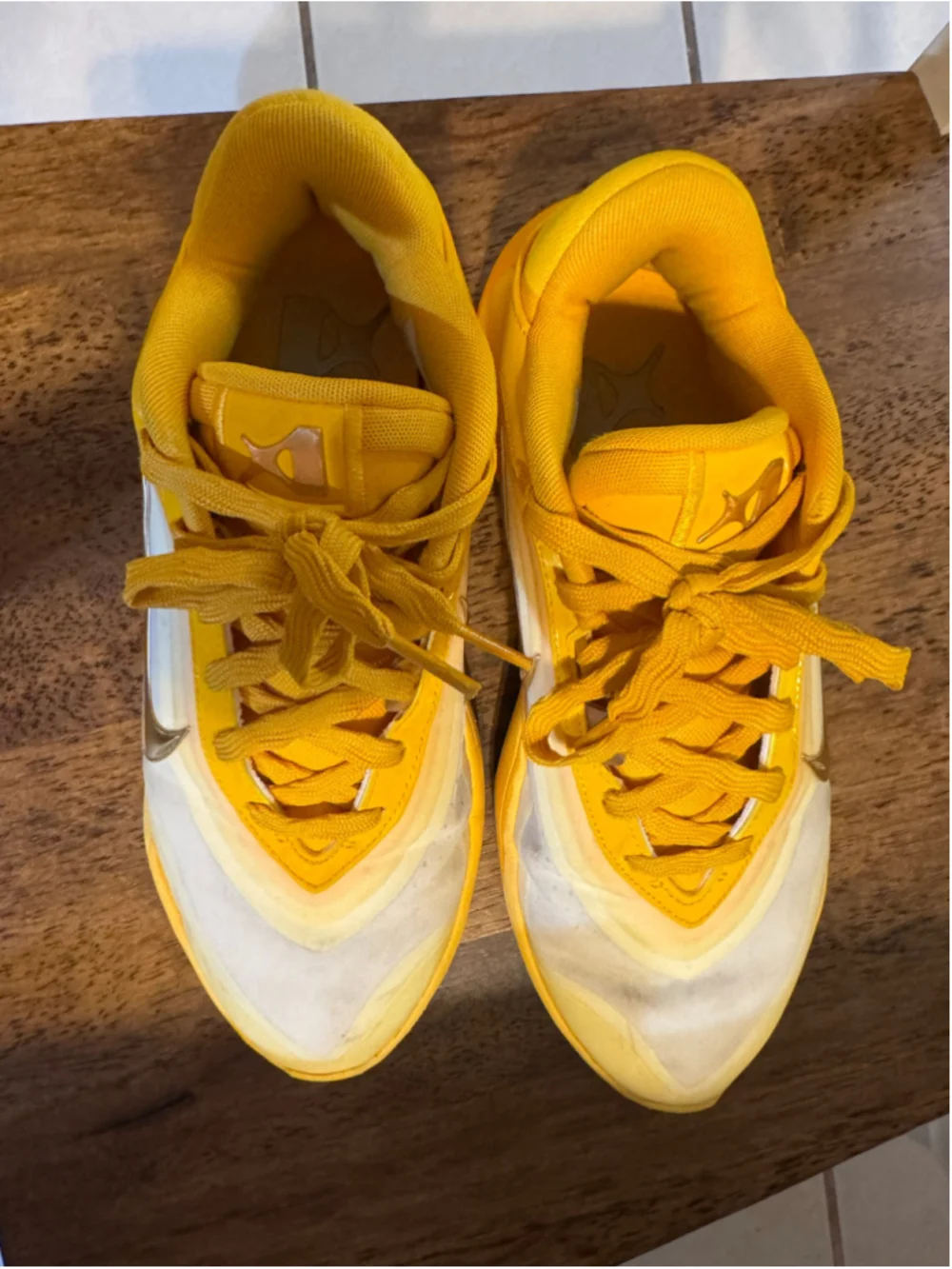 Nike Women's A'ja Wilson sneakers